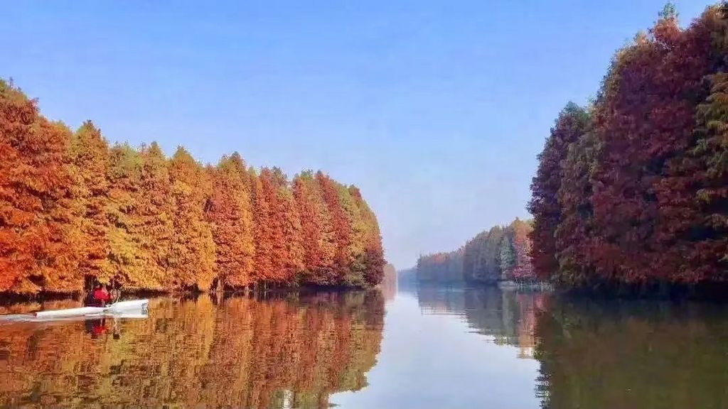 潜派旅行
