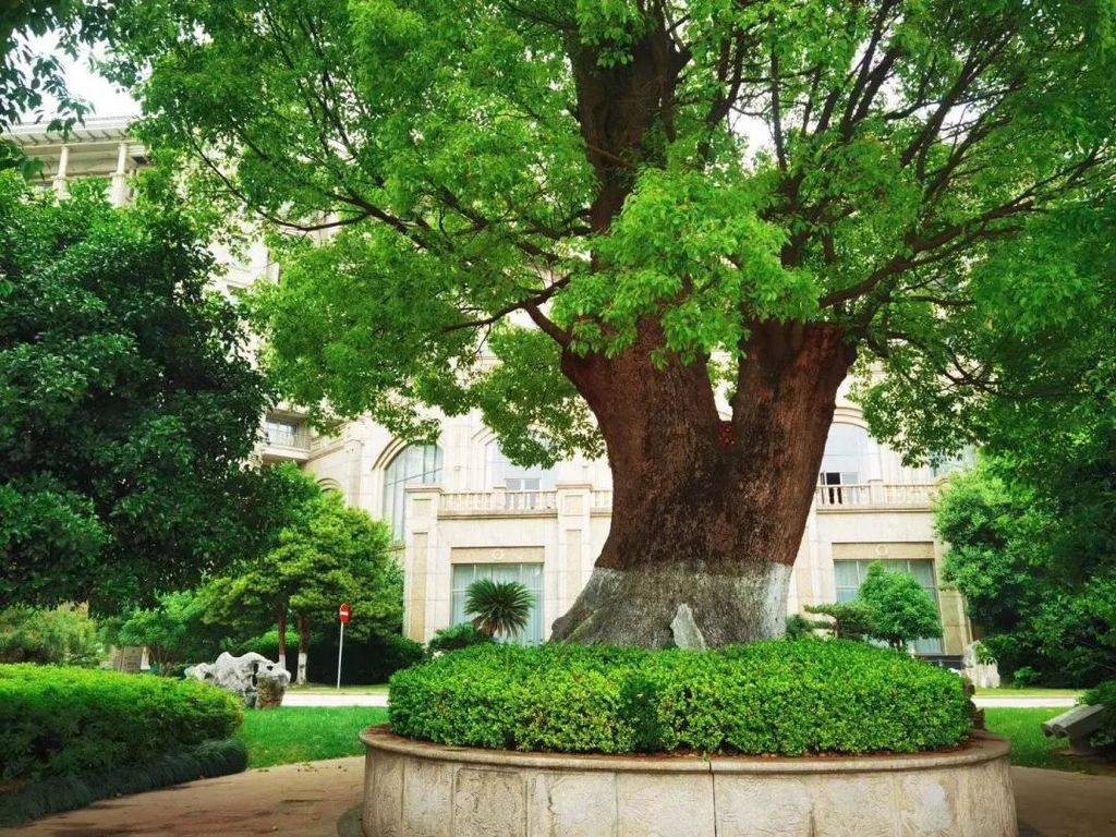 潜派旅行