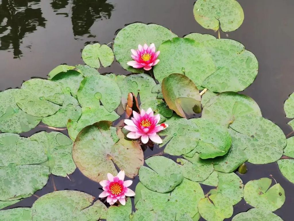 潜派旅行