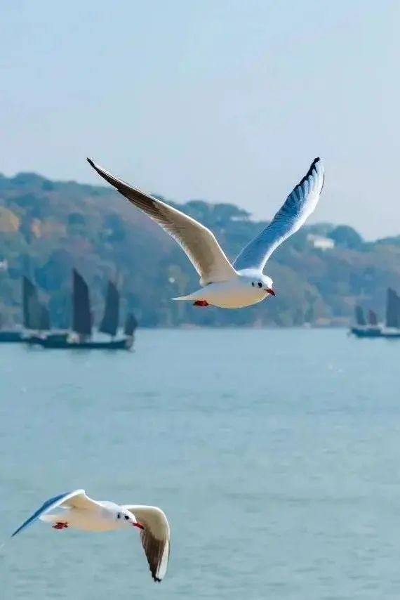 潜派旅行