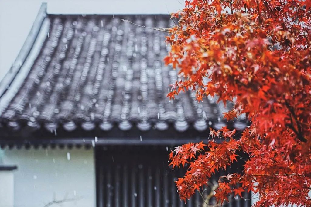 潜派旅行