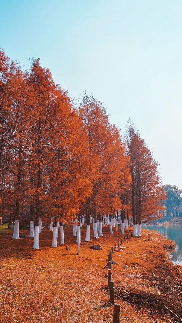 潜派旅行