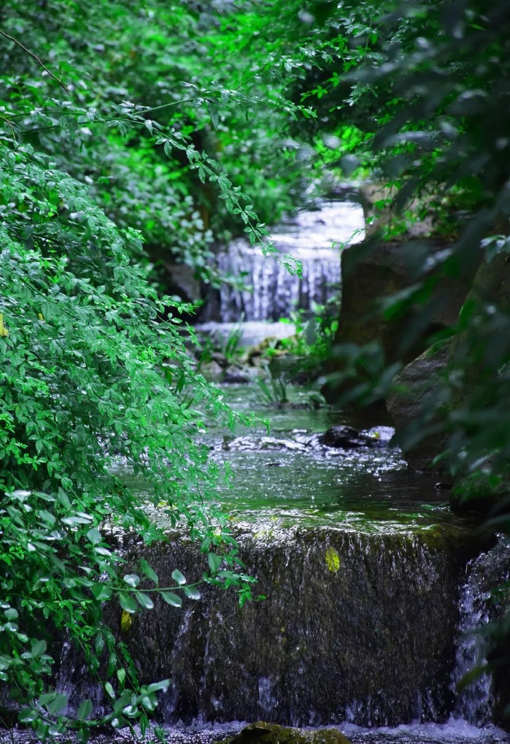 潜派旅行