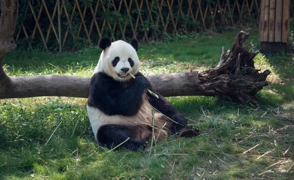潜派旅行