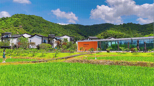 潜派旅行