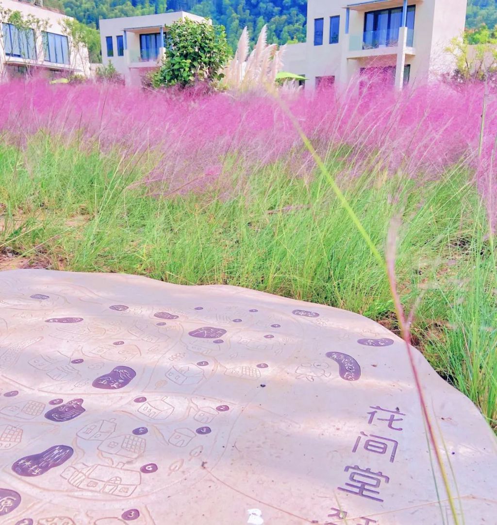 潜派旅行
