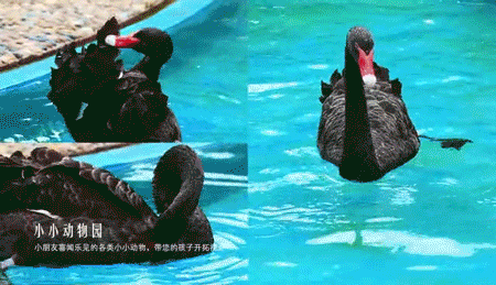 潜派旅行