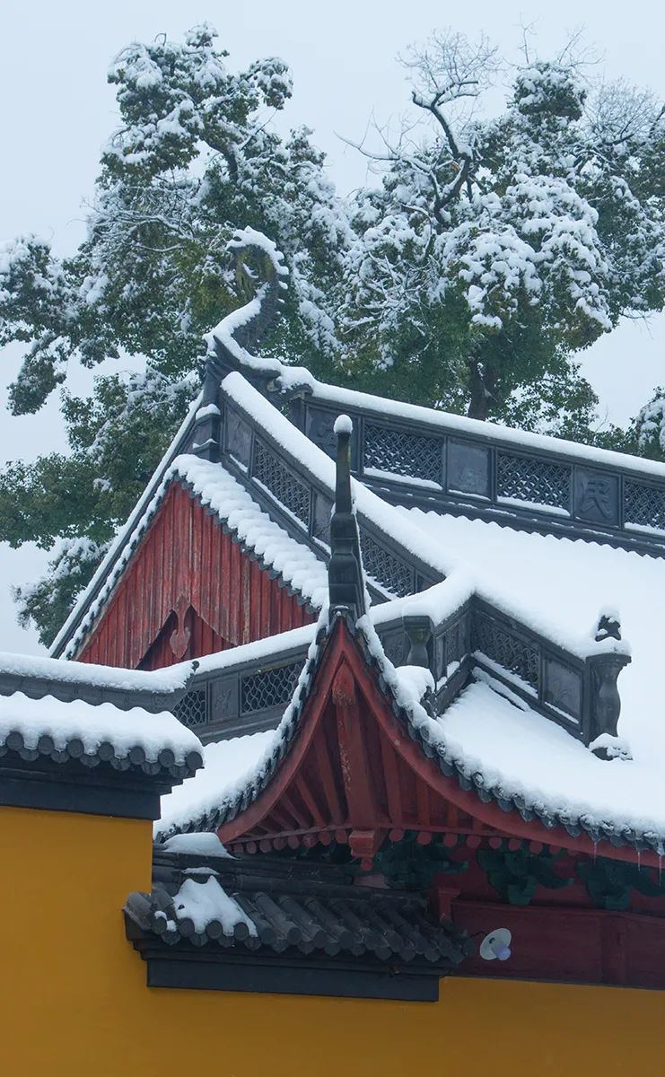 潜派旅行