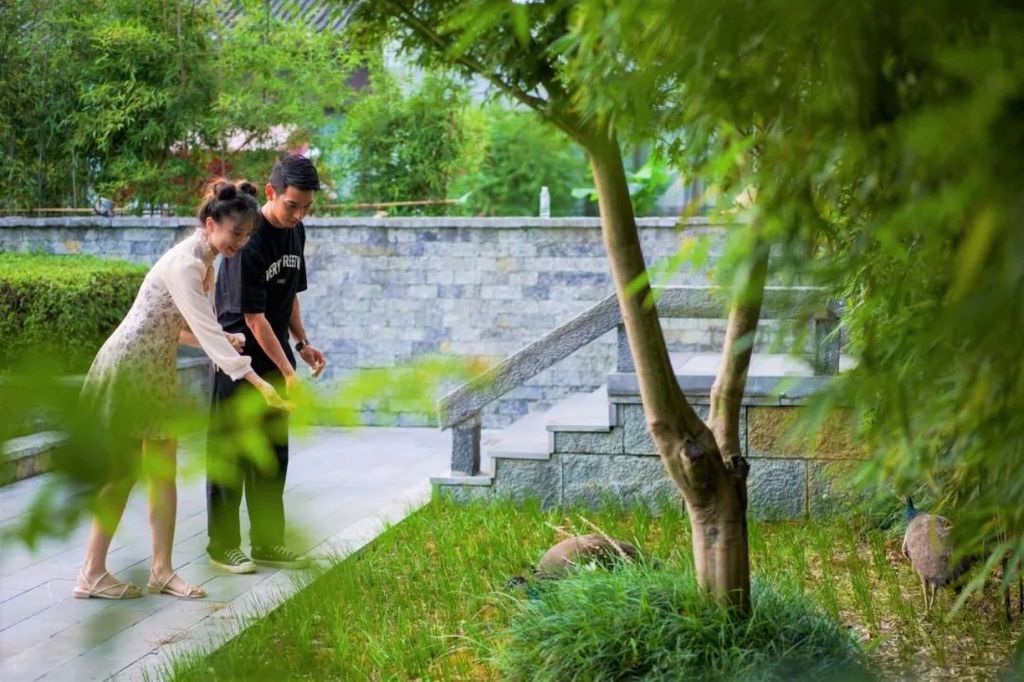 潜派旅行