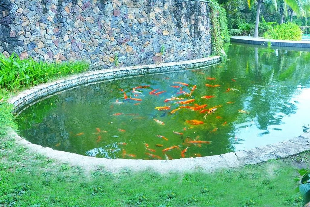 潜派旅行