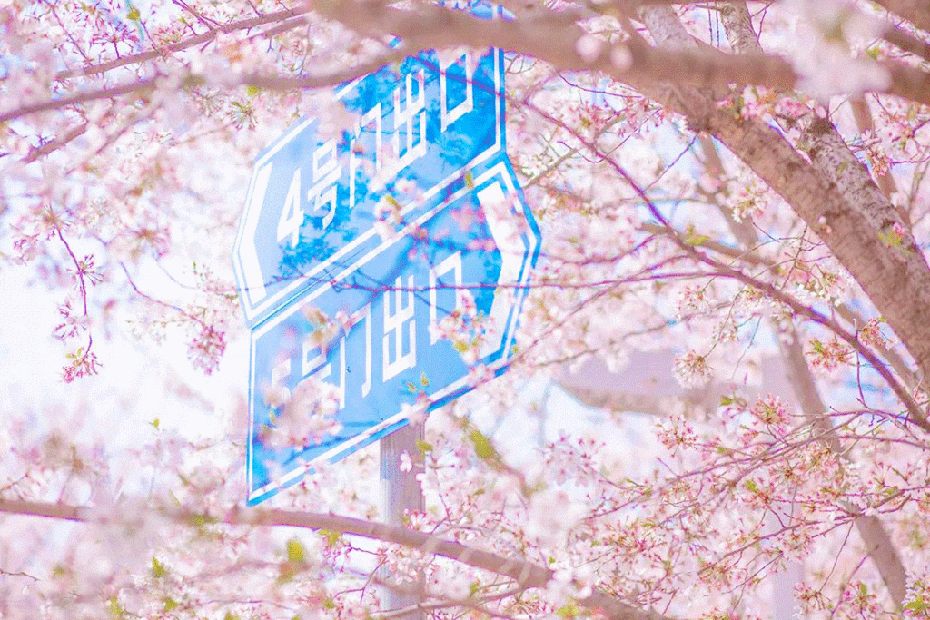 潜派旅行