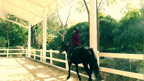 潜派旅行