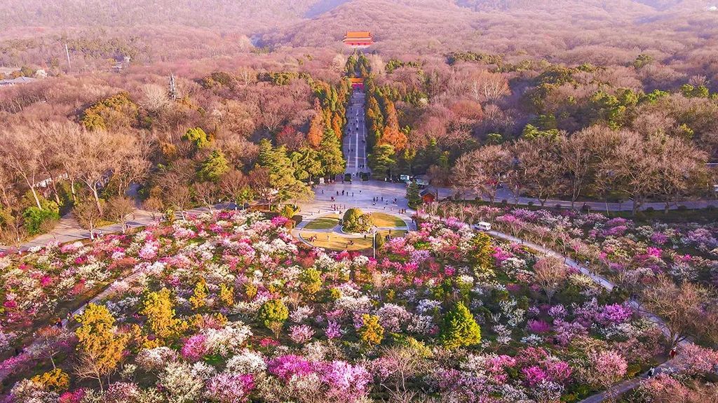 潜派旅行