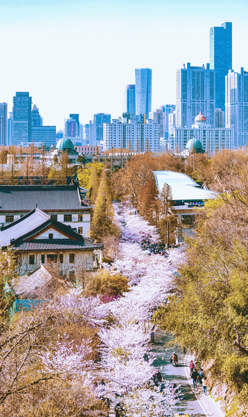 潜派旅行