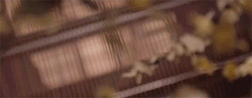 潜派旅行
