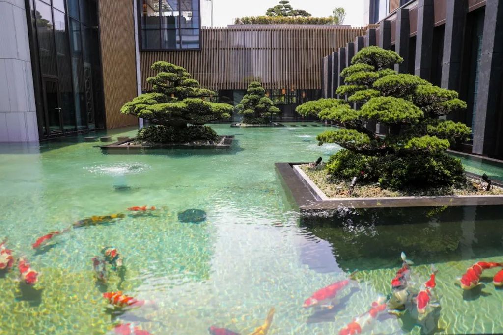 潜派旅行