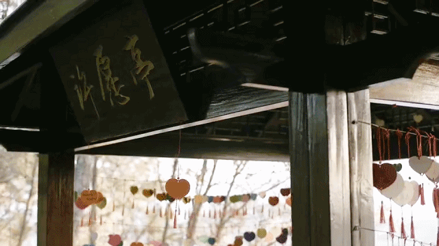 潜派旅行
