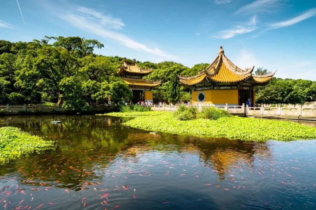 潜派旅行