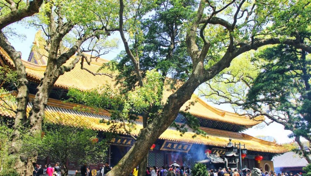 潜派旅行