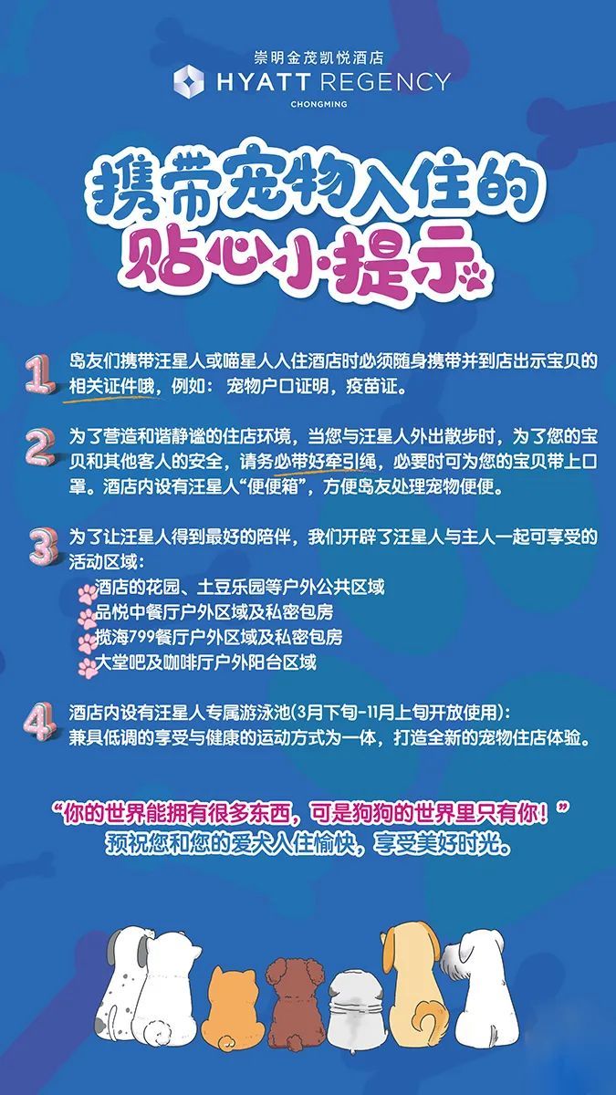 潜派旅行