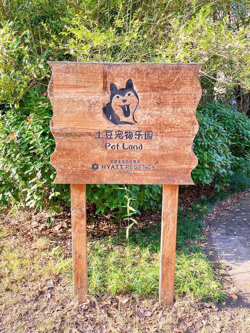 潜派旅行