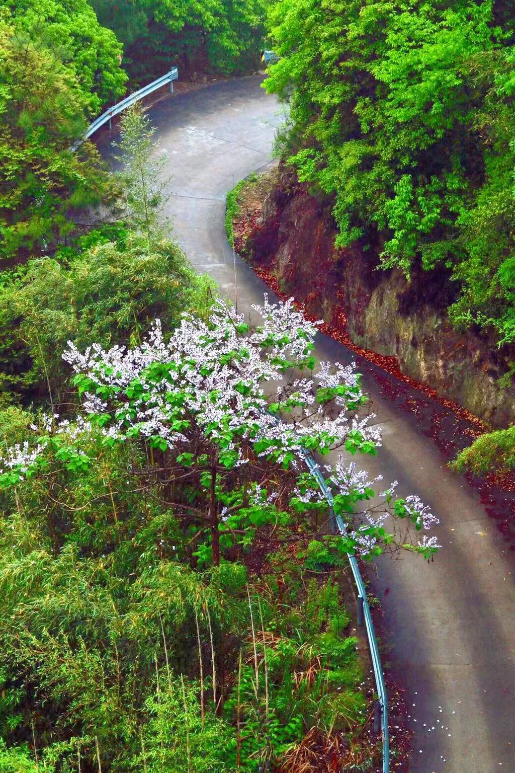 潜派旅行