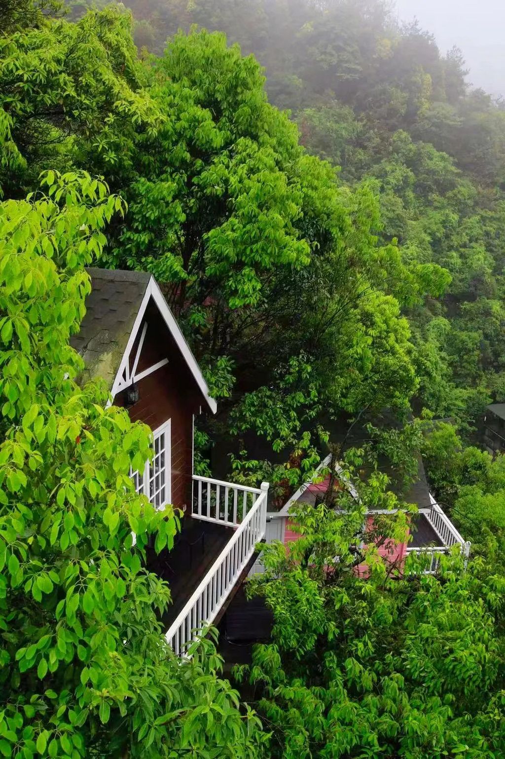 潜派旅行