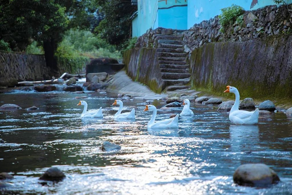 潜派旅行