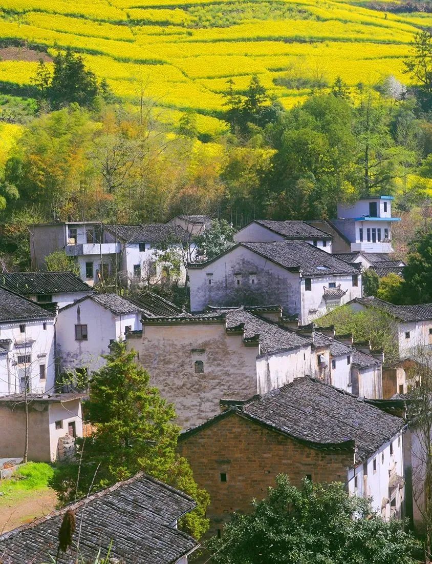 潜派旅行
