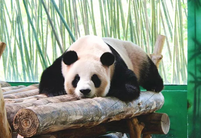 潜派旅行