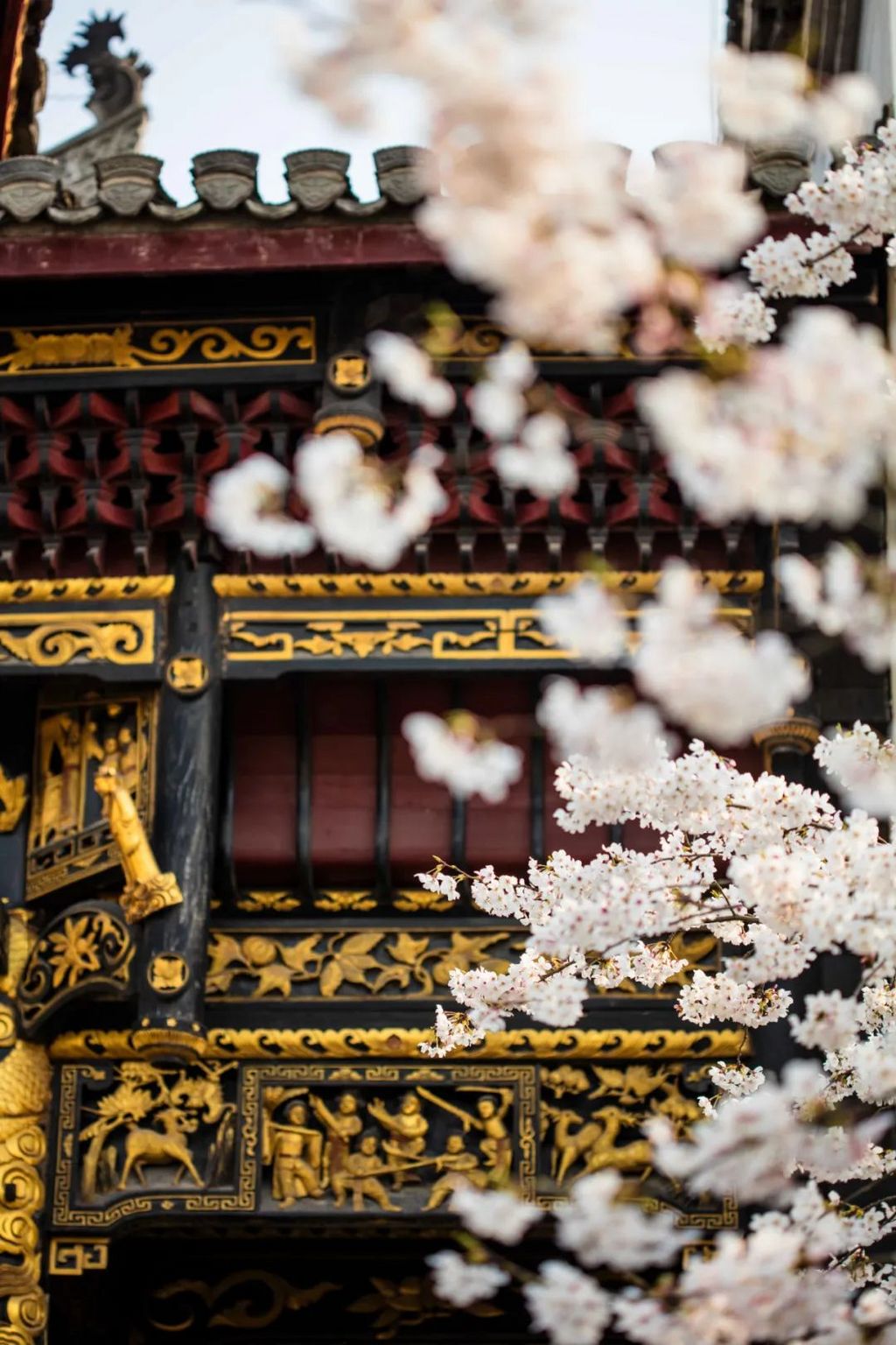 潜派旅行