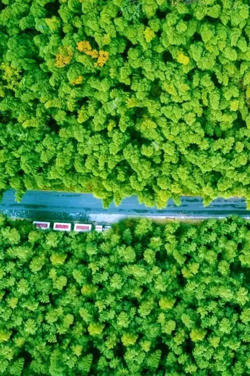 潜派旅行