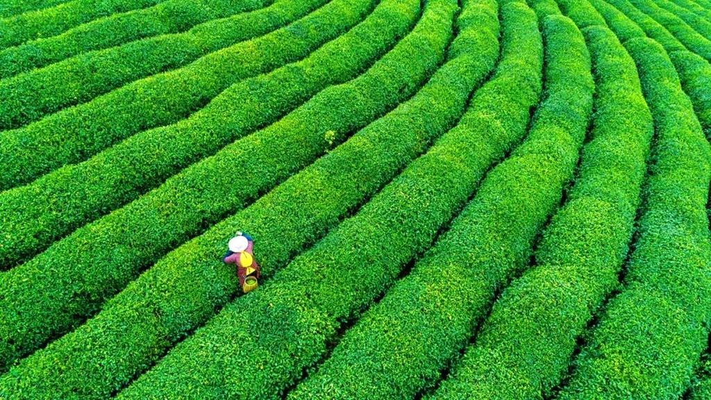 潜派旅行