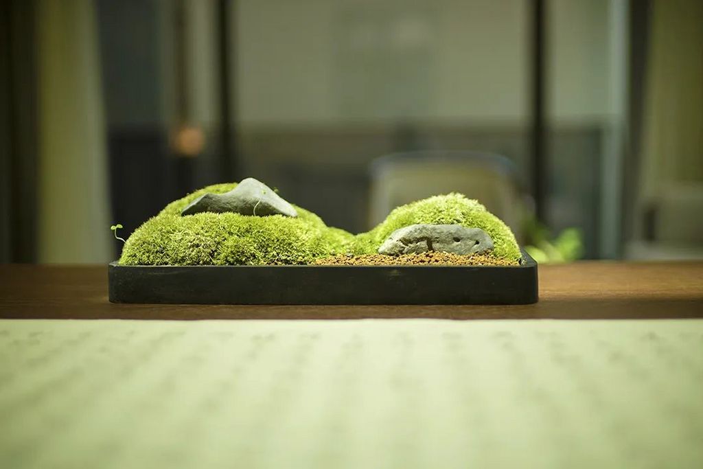 潜派旅行