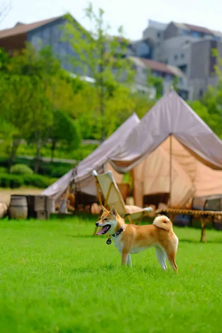 潜派旅行