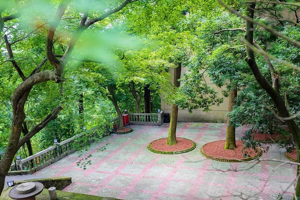潜派旅行