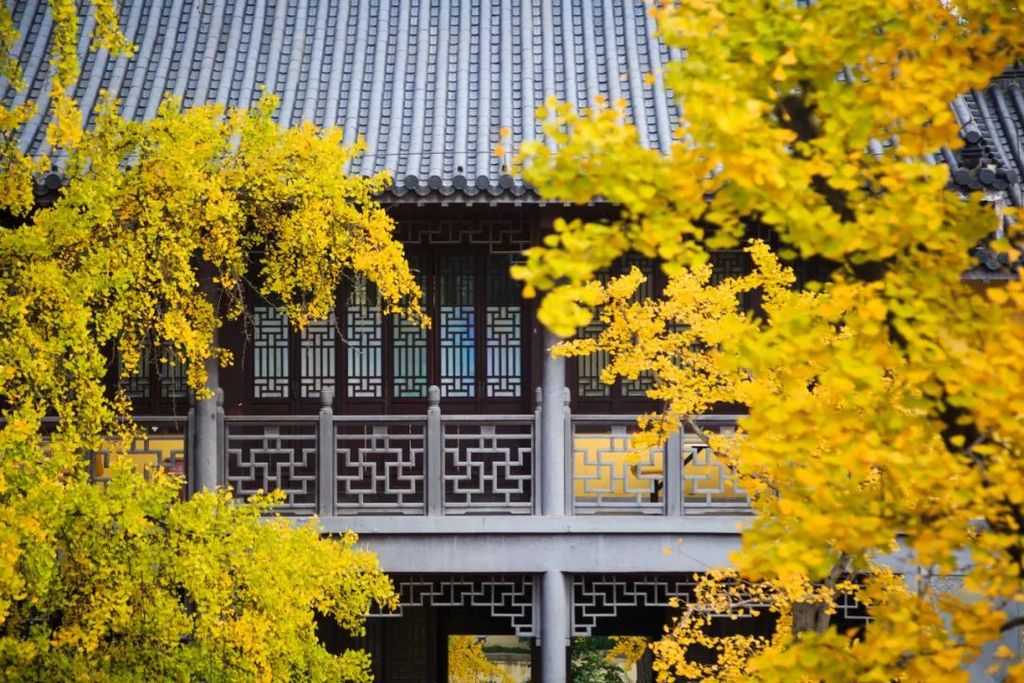 潜派旅行