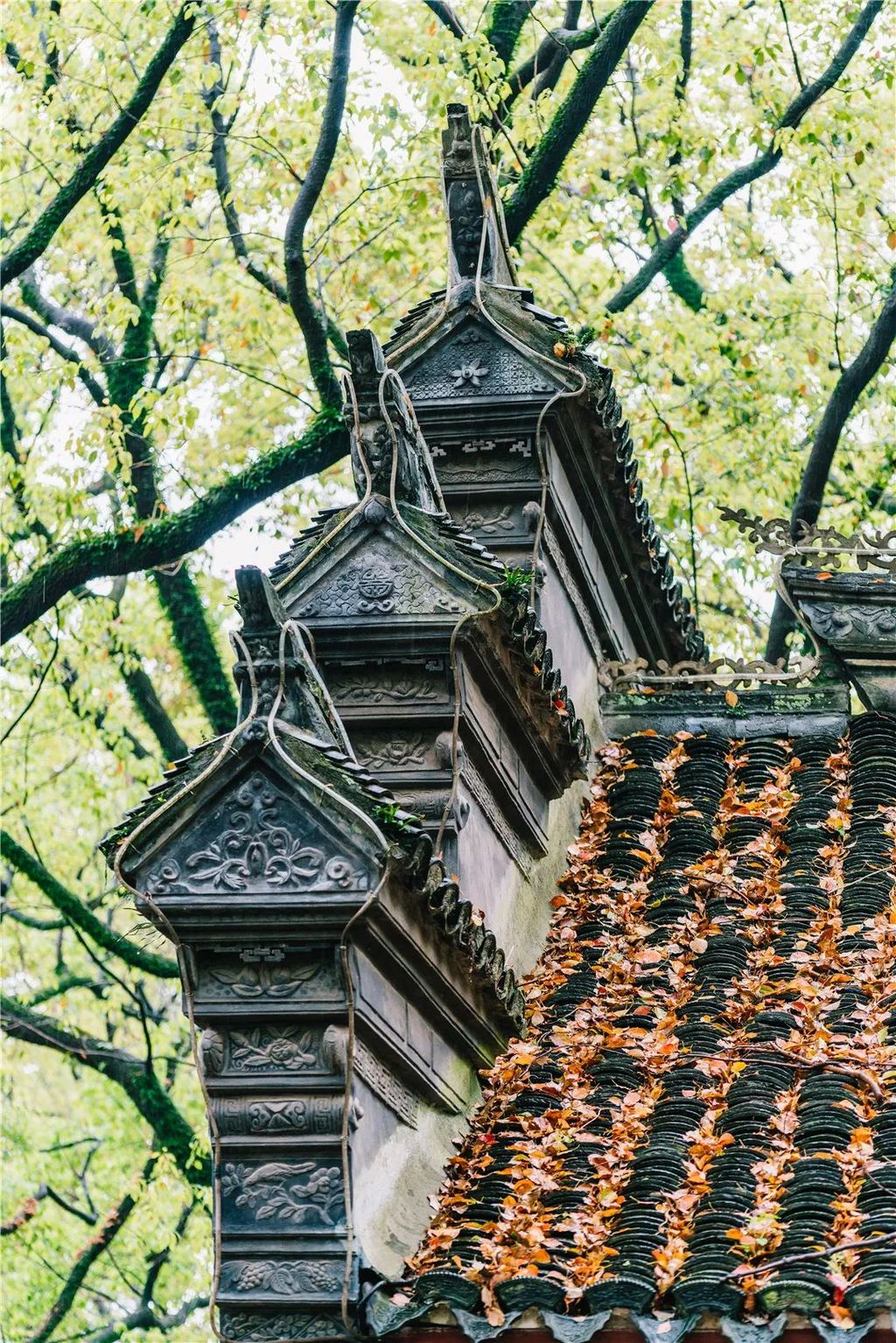 潜派旅行
