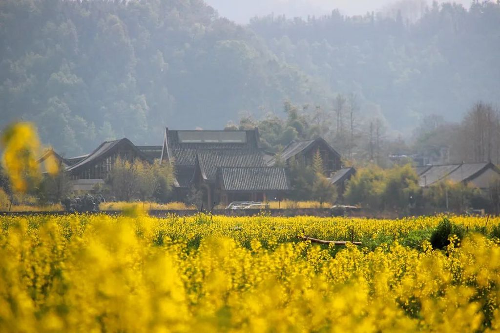 潜派旅行