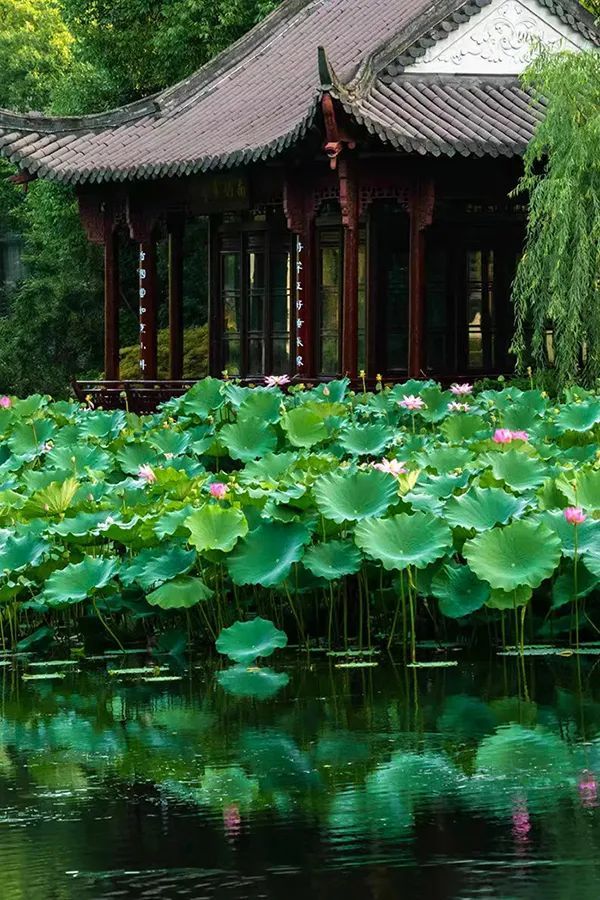 潜派旅行
