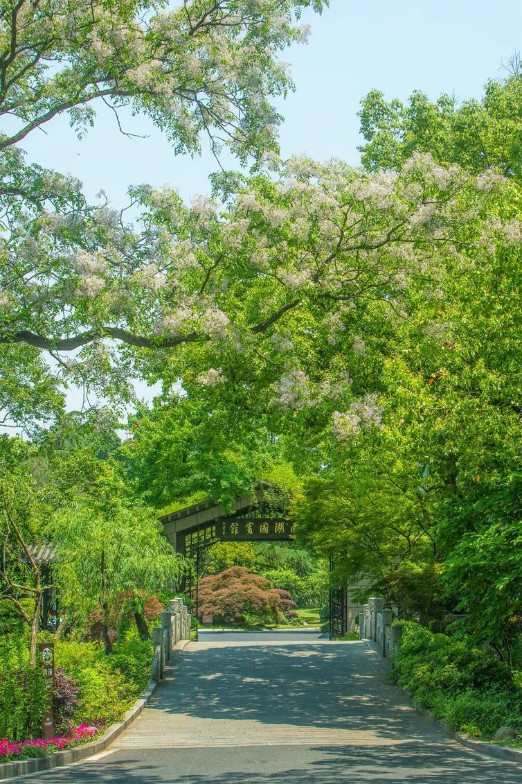 潜派旅行