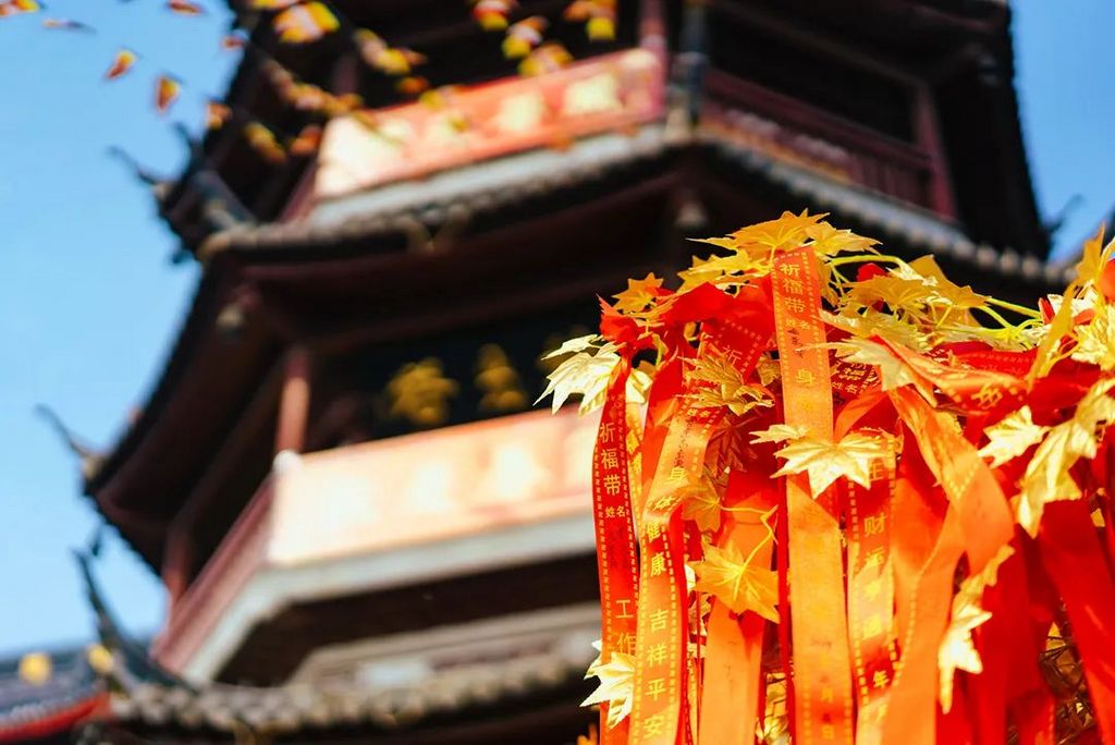 潜派旅行