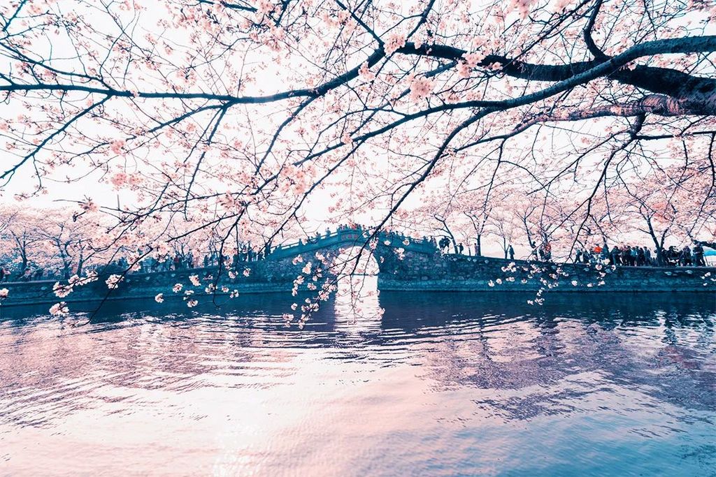 潜派旅行