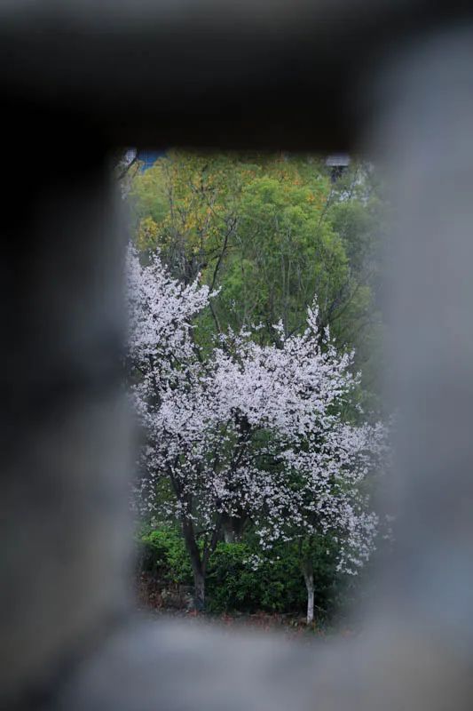 IMG_3813.jpg