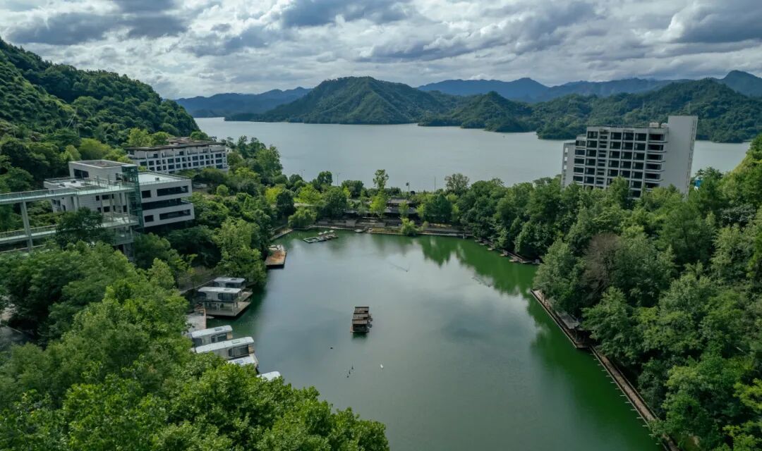 墨韵天鹅湖2.jpg