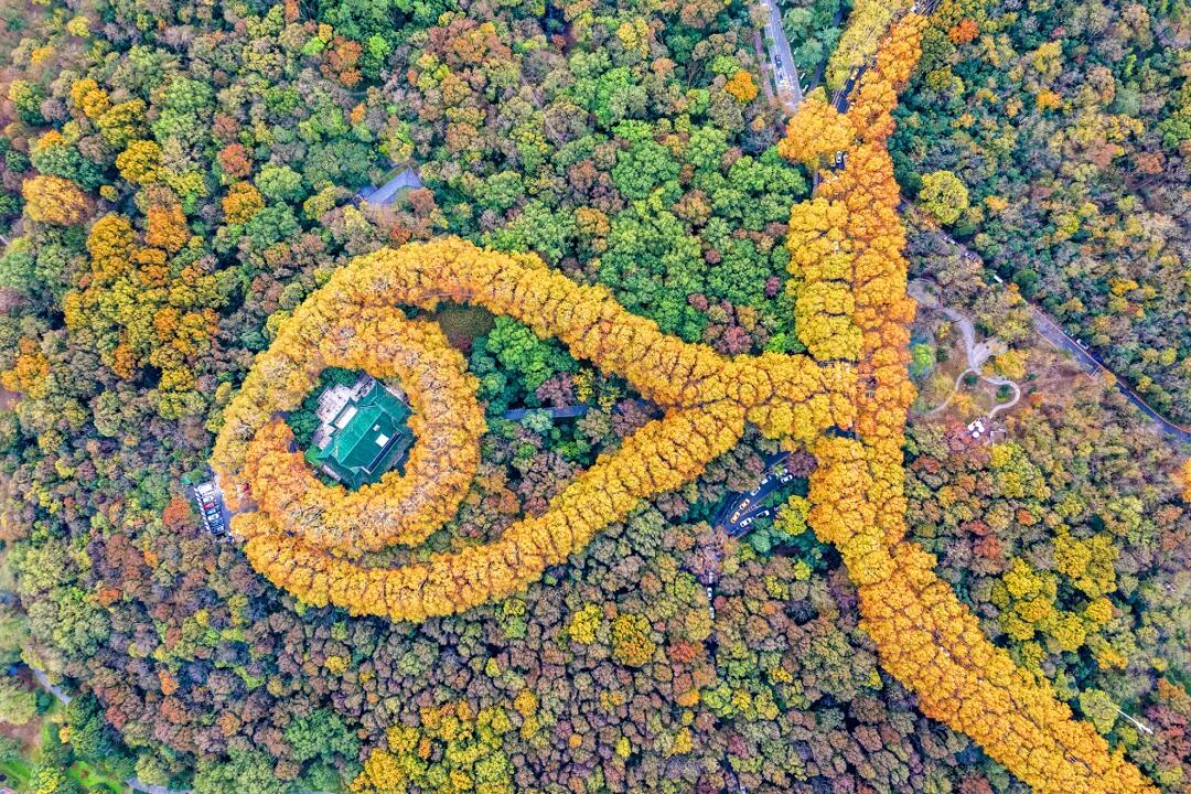 摄图网_507759802_南京钟山风景区航拍景观美龄宫大项链(企业商用).jpg