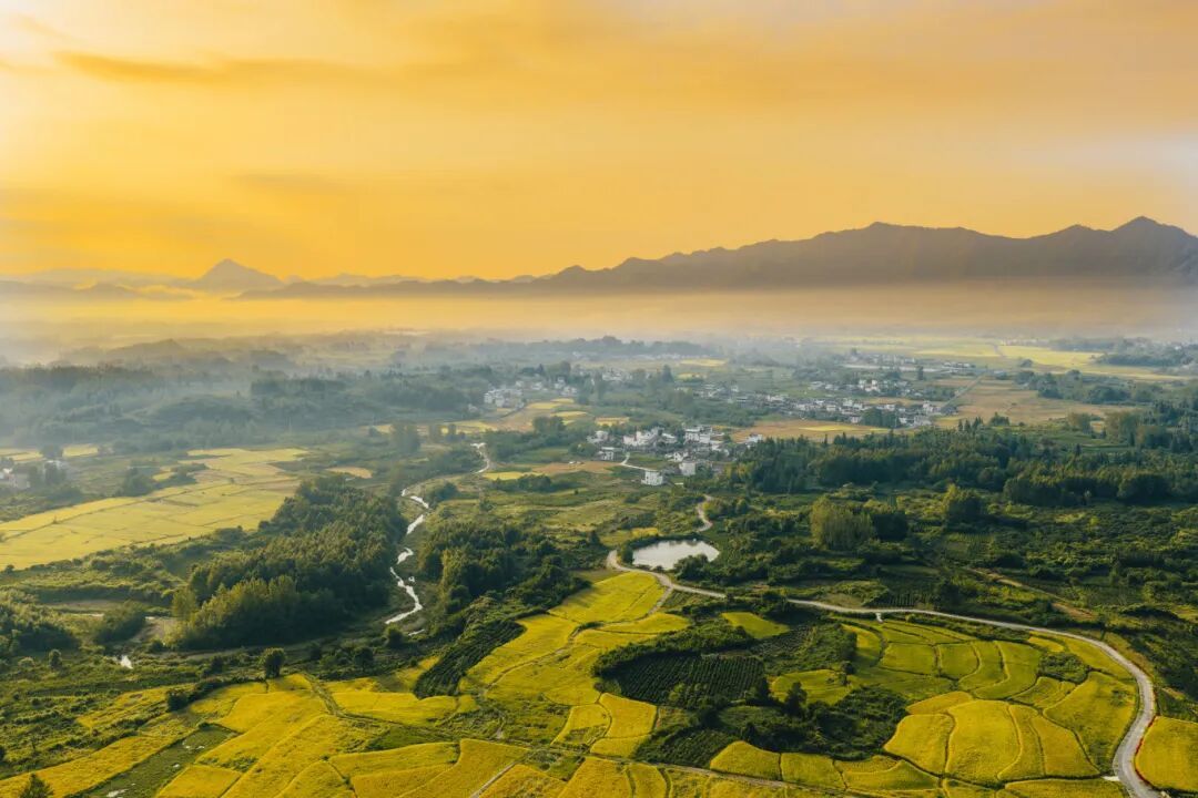 DJI_20250918071341_0515_D.JPG