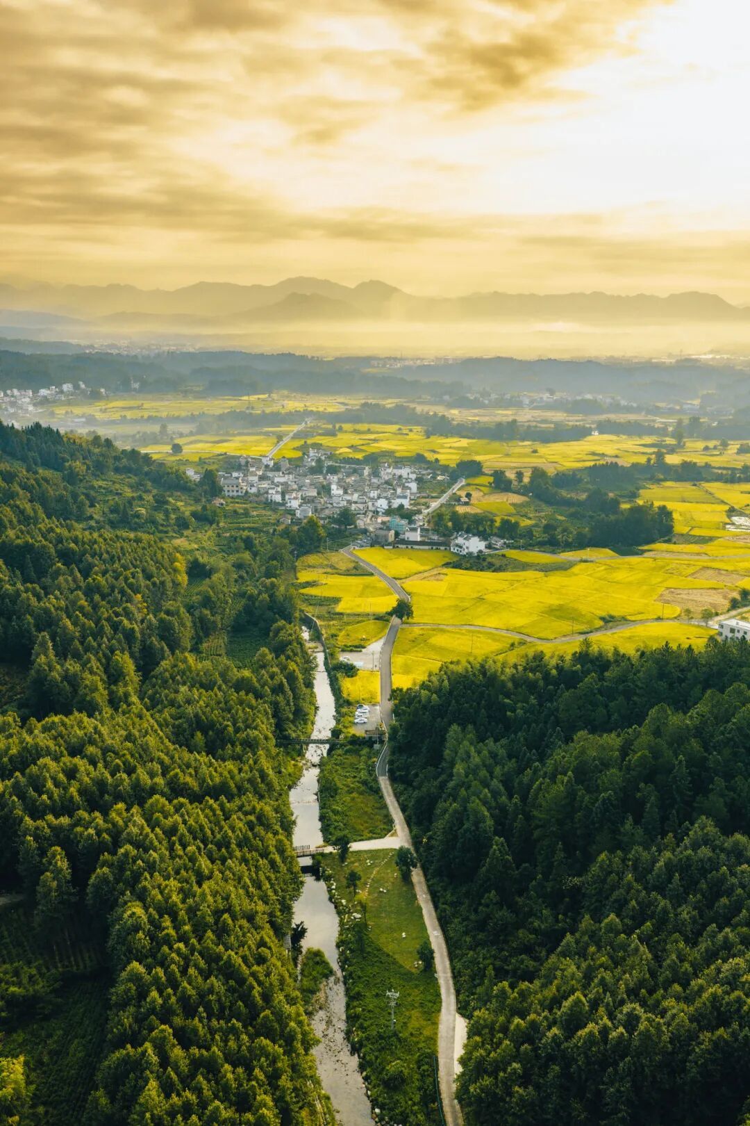 DJI_20250918071612_0528_D.JPG
