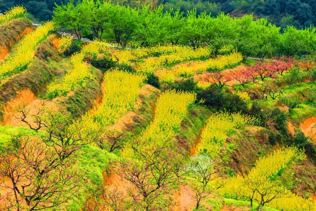 摄图网_700902514_桐庐阳山畈（企业商用）.jpg