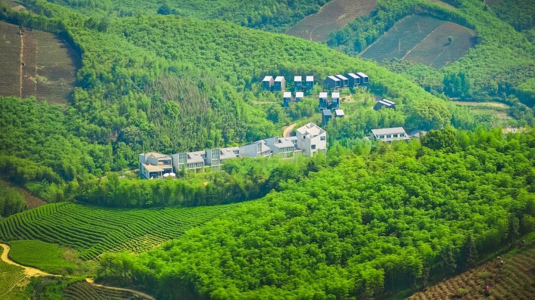 茶山+廿舍整体.JPG